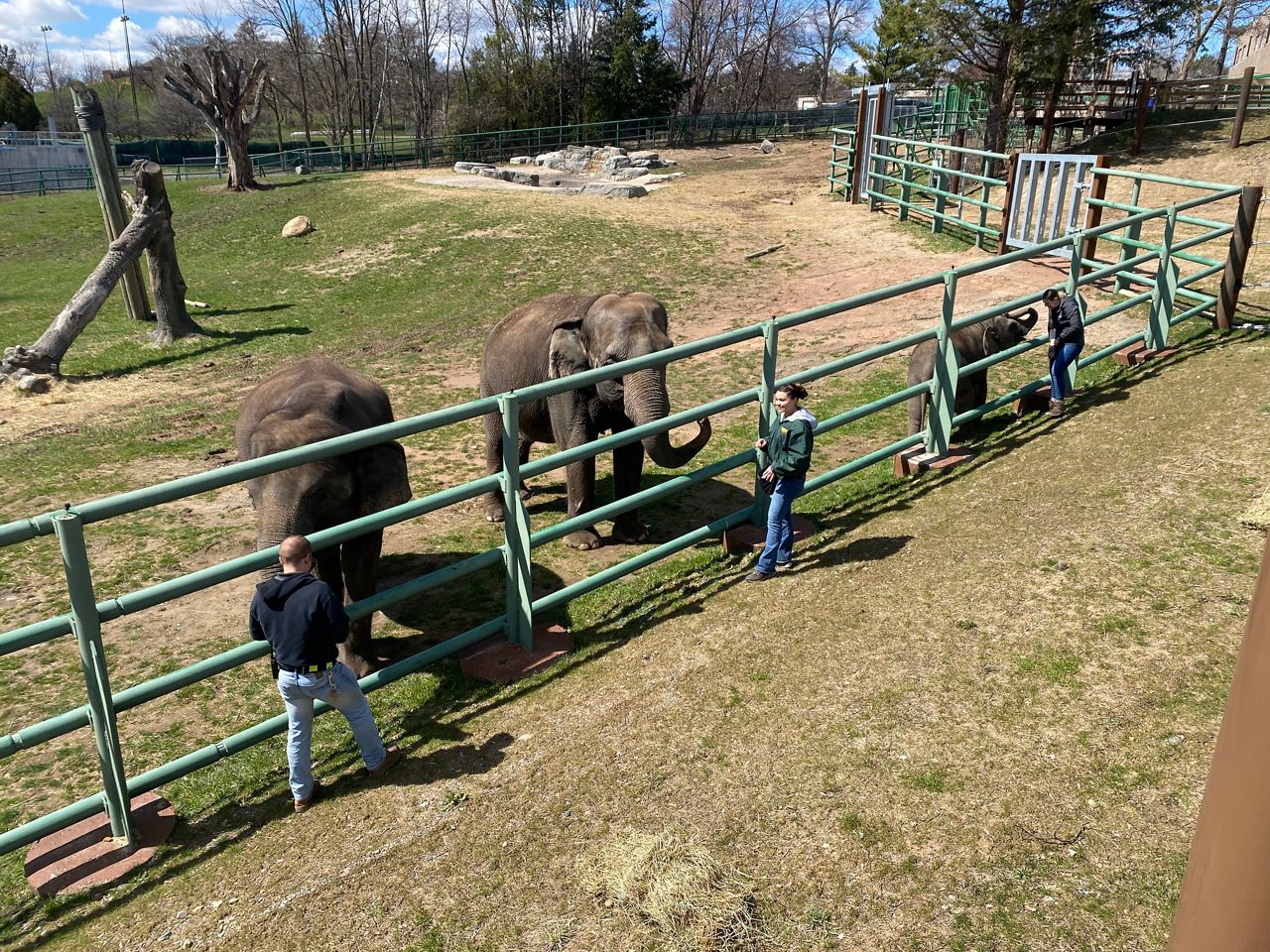 Zoo Animals Make New Friends During Coronavirus Outbreak